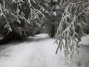 Der Oberharz am Brocken