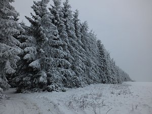 Der Oberharz am Brocken