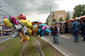 Rolandsfest 2005