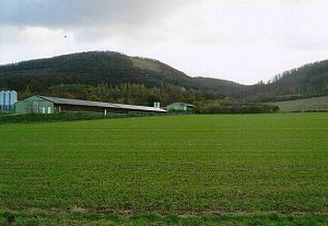 Der Sargberg