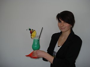 Barmixer-Kurs