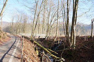 150 für einen