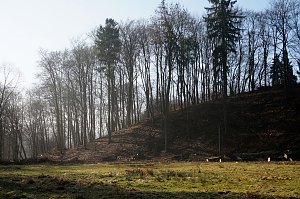 150 für einen