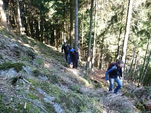 Harzwanderung