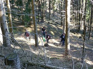 Harzwanderung