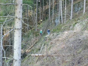 Harzwanderung
