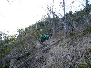 Harzwanderung