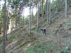 Harzwanderung