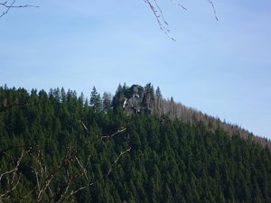 Harzwanderung