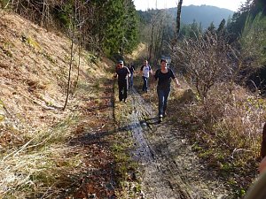 Harzwanderung