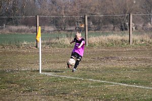 Kantersieg in der Goldenen Aue
