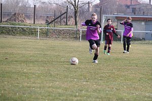 Kantersieg in der Goldenen Aue