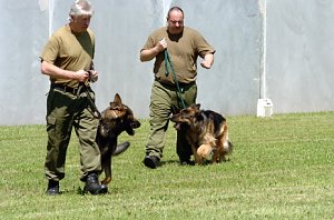 Hundestaffel