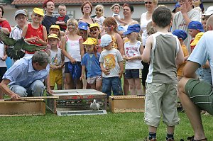 Sportfest Wipperdorf