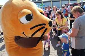 Programm zum vierten Stadtwerketag