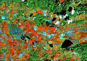 Falschfarbenbild Landsat 