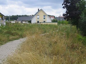 Unkraut