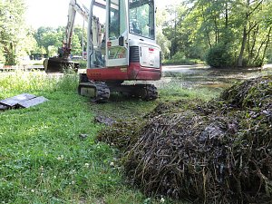 Kampf dem Krause Laichkraut