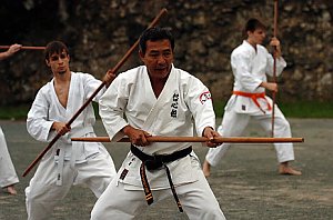 Training mit Tamayose Sensei