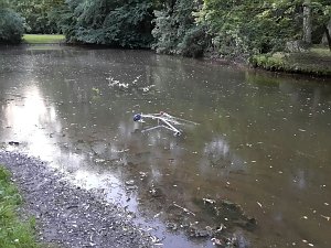 Entsorgt