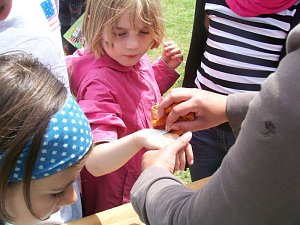 Mini-WM in Niedersalza