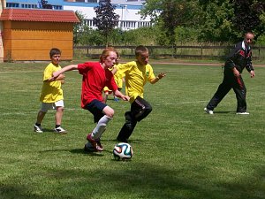 Mini-WM in Niedersalza
