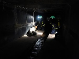 Feuerwehr im Einsatz
