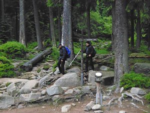 Harzwanderung in der Dunkelheit