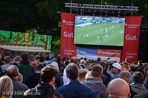 Public Viewing
