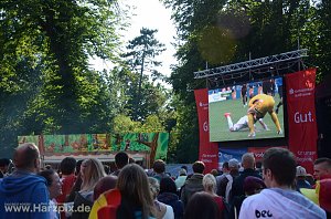 Public Viewing