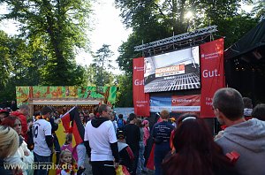 Public Viewing