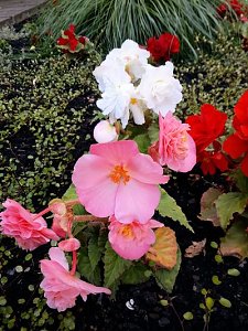 Nach dem Spiel auf dem Berg