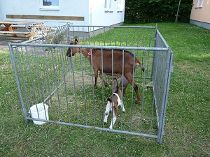 Interessante Projekte vorgestellt