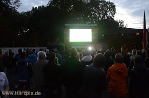 Public Viewing