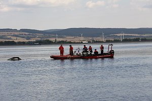 Gemeinsame &Uuml;bung am Stausee