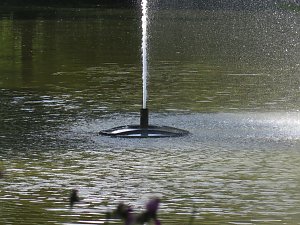 Zum ersten Mal ist die Befestigung der Font&auml;ne zu sehen