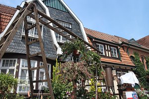 Volle Bl&uuml;tenpracht