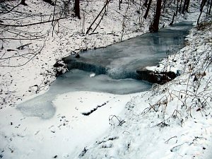 Winter im Südharz