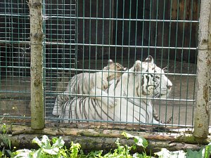 Besuch im Zoo von Aschersleben