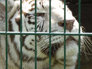 Besuch im Zoo von Aschersleben