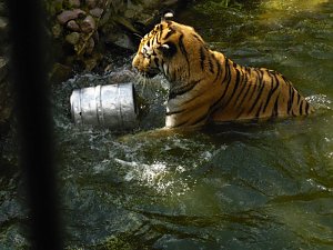 Besuch im Zoo von Aschersleben