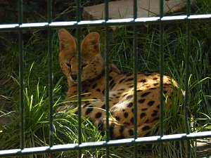 Besuch im Zoo von Aschersleben