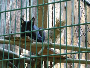 Besuch im Zoo von Aschersleben
