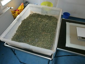 Schlag gegen Drogenszene