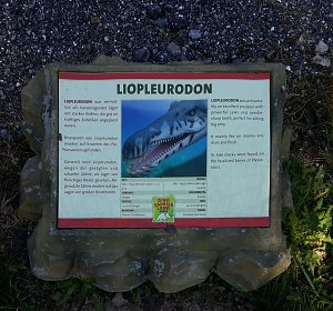 Dinosaurier auf R&uuml;gen