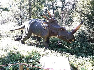 Dinosaurier auf R&uuml;gen