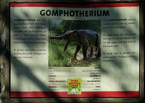Dinosaurier auf R&uuml;gen
