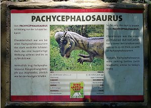 Dinosaurier auf R&uuml;gen