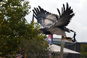 Photokina K&ouml;ln
