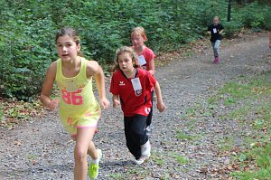 Herbst-Crosslauf im Gehege